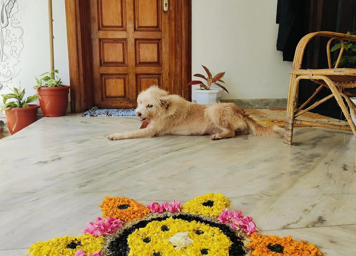 Shamak Homestay Varkala